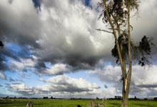 朝着复出迈进!诺伊尔今日恢复有球训练.