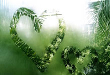 杏彩体育：德国杯-希克双响阿莱克斯世界波 勒沃库森3-0晋级.